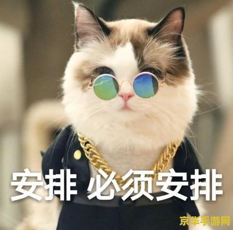 怎么喂猫原神
