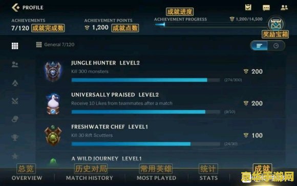 英雄联盟工资装是什么意思