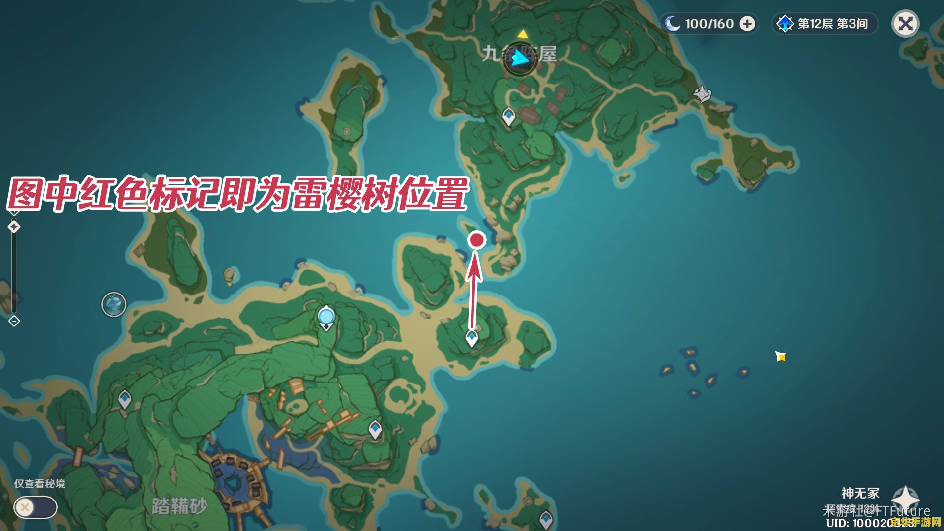 原神雷樱树全位置在哪