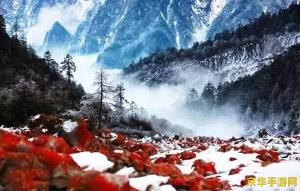 原神雪山好大好大的门在哪里