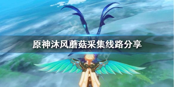 原神哪里有沐风蘑菇