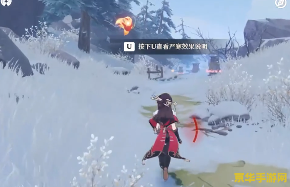 原神龙脊雪山星荧洞窟仙灵