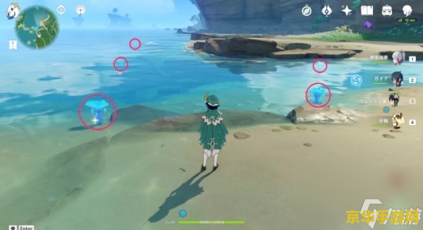 原神蒙德有海灵芝吗