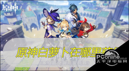 原神里哪里卖萝卜