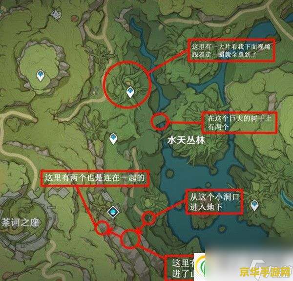 原神中树王圣体菇在哪里采集