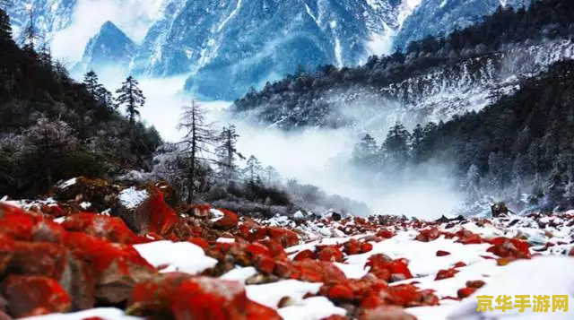 原神雪山的红石头没了怎么办