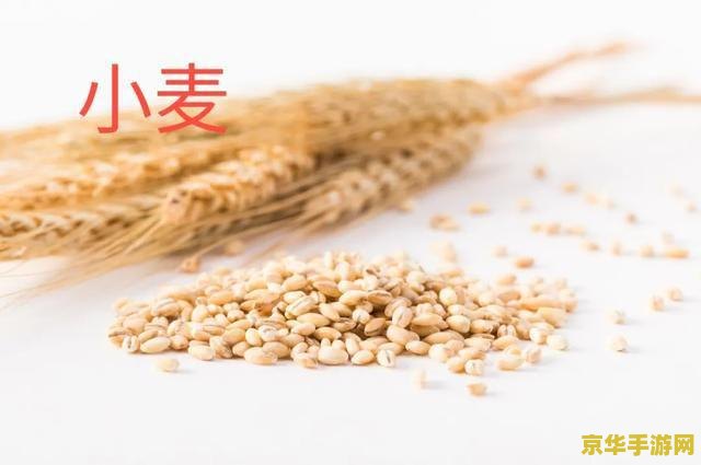 原神小麦怎么加工