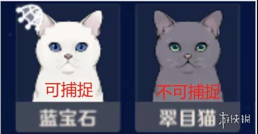 原神角色代表的动物