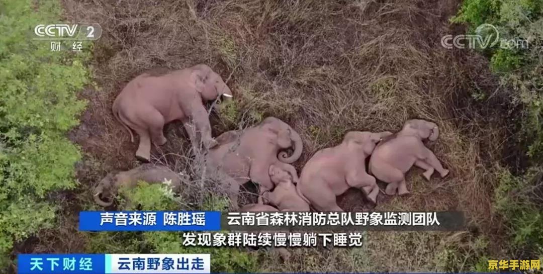 原神群玉阁对话