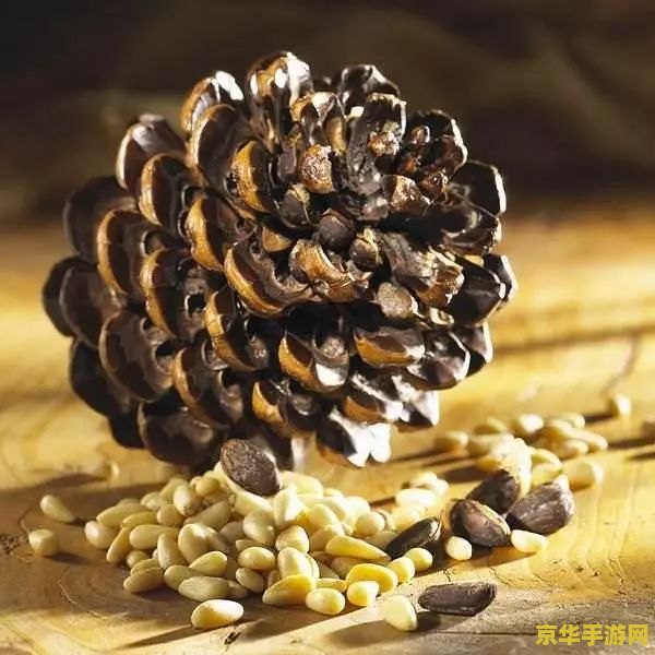 原神焦糖松果为什么做不出来