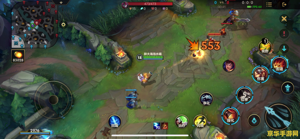 英雄联盟5杀照片