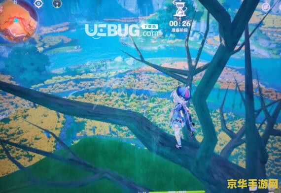 原神马尾在哪采集最多