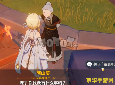 原神暂留此影任务怎么过