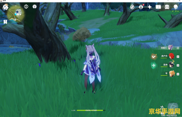 原神的钩钩果在哪