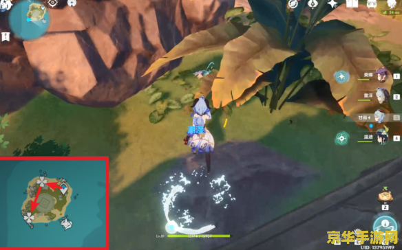 原神的回声海螺在哪里