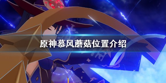 原神慕风蘑菇哪里有得买