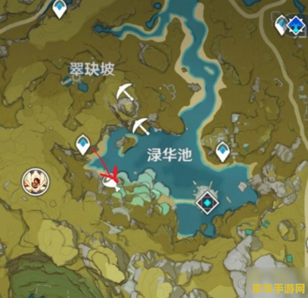 原神哪里的莲蓬最多