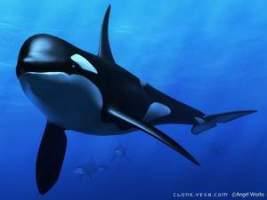 原神蛇骨矿洞鲸井小弟 原神蛇骨矿洞鲸井小弟