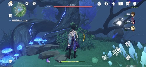 原神雾海纪行雾海与树之祭