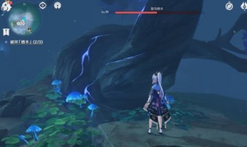 原神雾海纪行雾海与树之祭