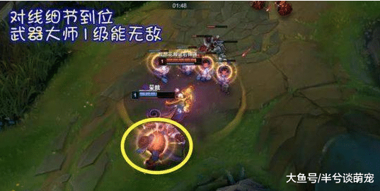 英雄联盟挡技能的装备