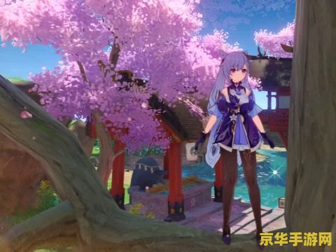 原神稻妻如何去海底