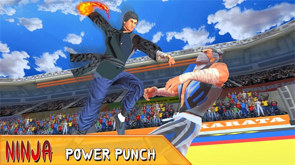 功夫空手道格斗截图2