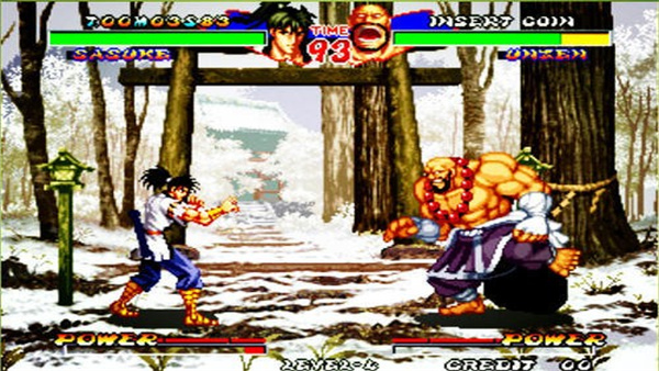 霸王忍法帖截图3