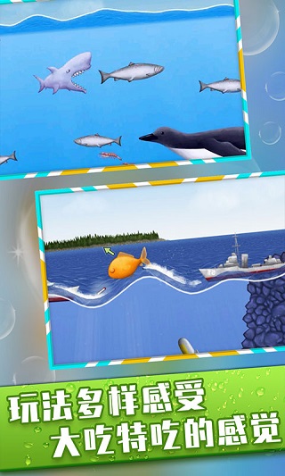 美味海洋正版截图2