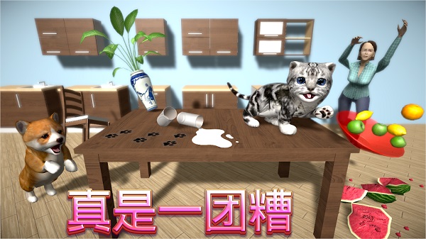 猫咪模拟器正版截图4
