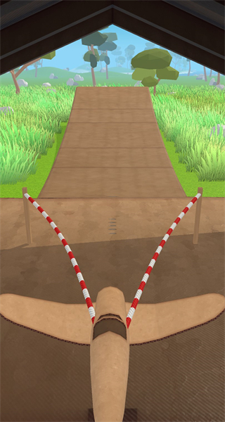 飞机模拟高手免广告版截图1