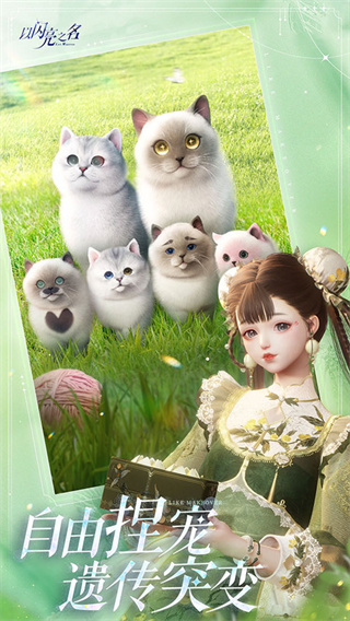 以闪亮之名入口截图2