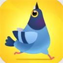 疯狂的鸽子游戏