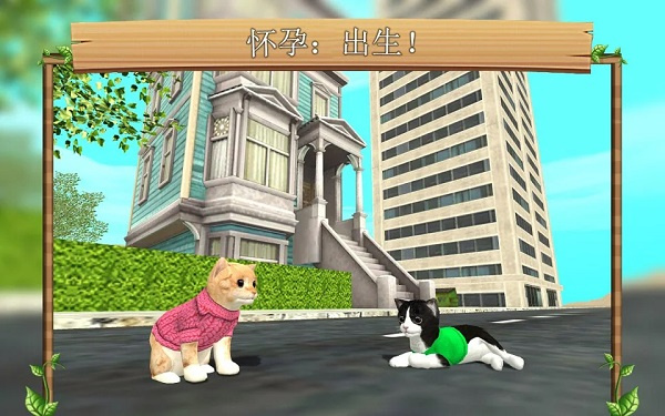 猫咪生存模拟器截图4
