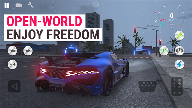 真实驾驶学校截图2