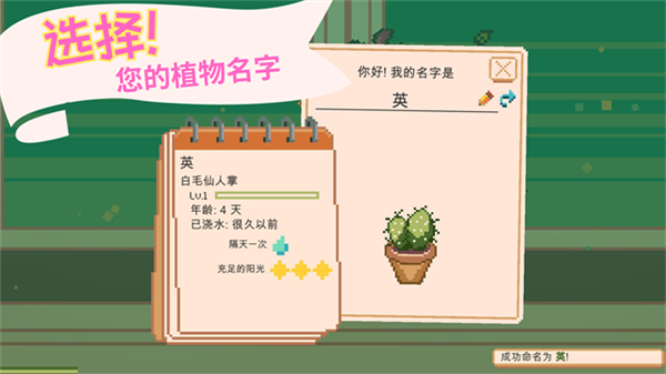 窗边花园截图2