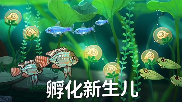 池趣截图1
