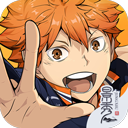 排球少年新的征程图标