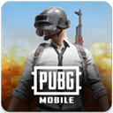 PUBG