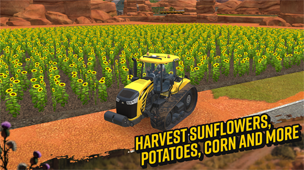 Farming Simulator 18截图5
