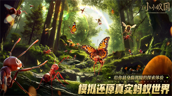 蚂蚁地下王国截图4