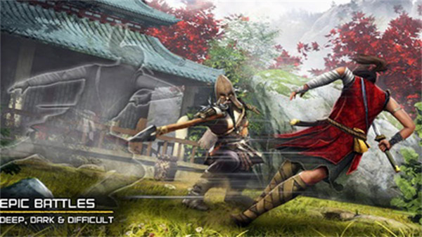 Ninja Ryoku截图4