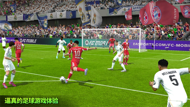 EA SPORTS FC截图3