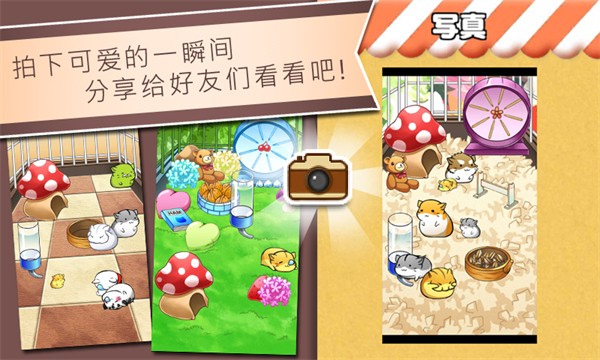 仓鼠的日常中文版截图2