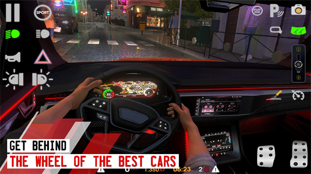 Driving School sim截图2