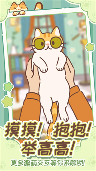 领养一只流浪猫截图4