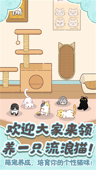 领养一只流浪猫截图6