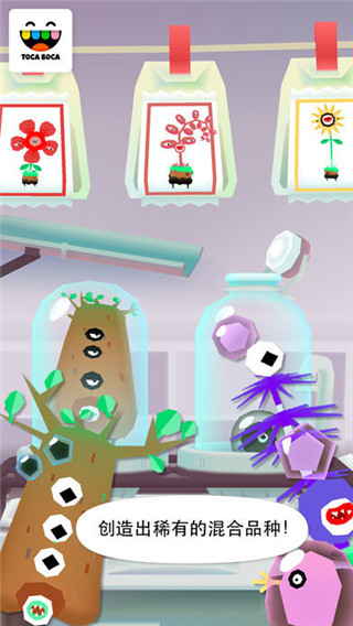托卡实验室植物截图4