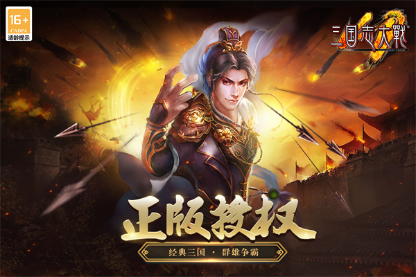 三国志大战截图2