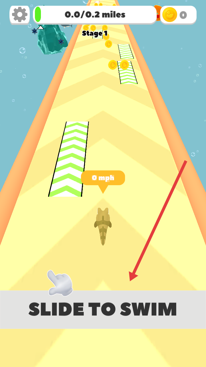 空闲游泳速度进化